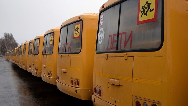 школьные автобусы