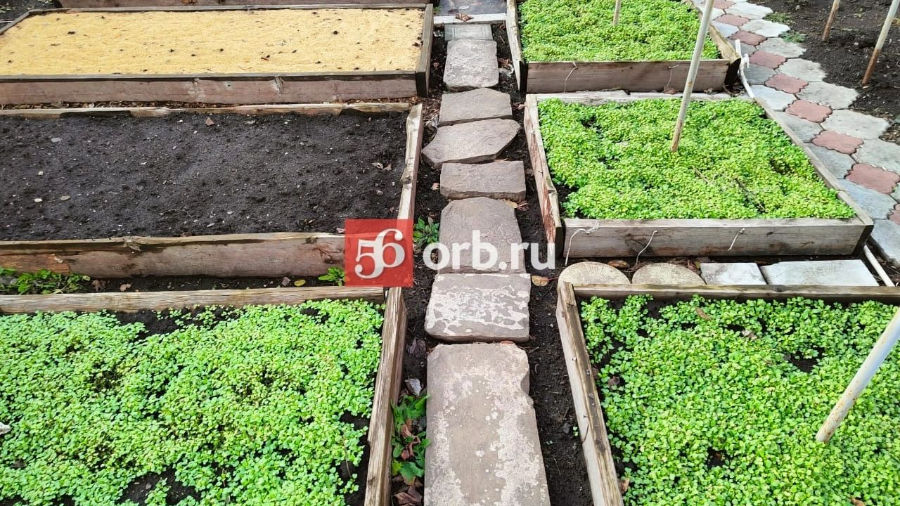 Огород в Оренбургской области