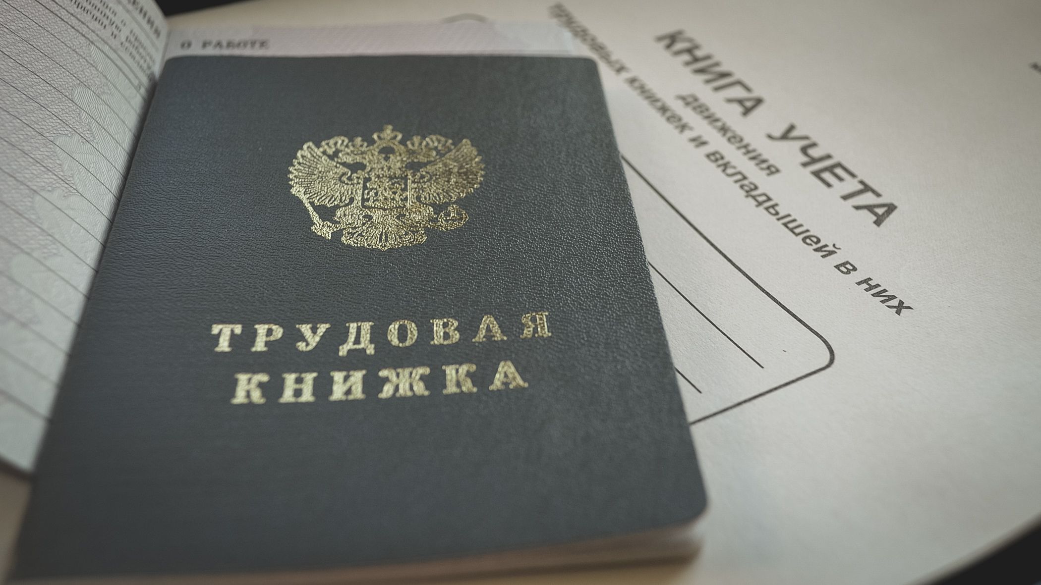 Ажиотаж на рынке труда в Петербурге: за месяц появилось почти 100 тыс. новых вакансий