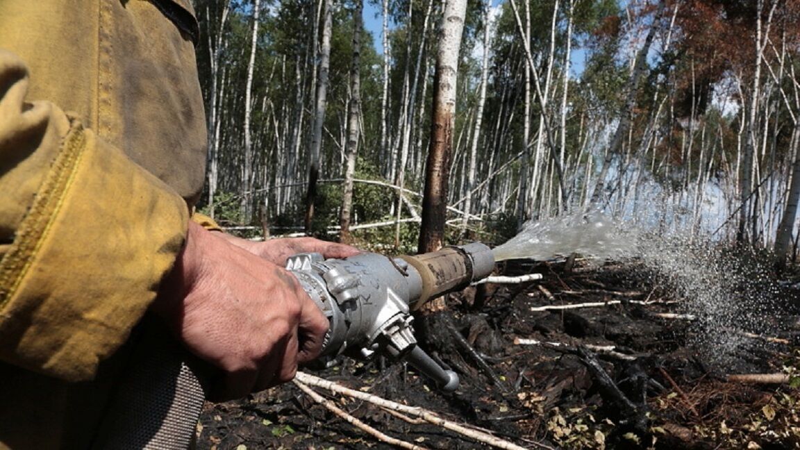 Жителям севера Прикамья запретили ходить в лес