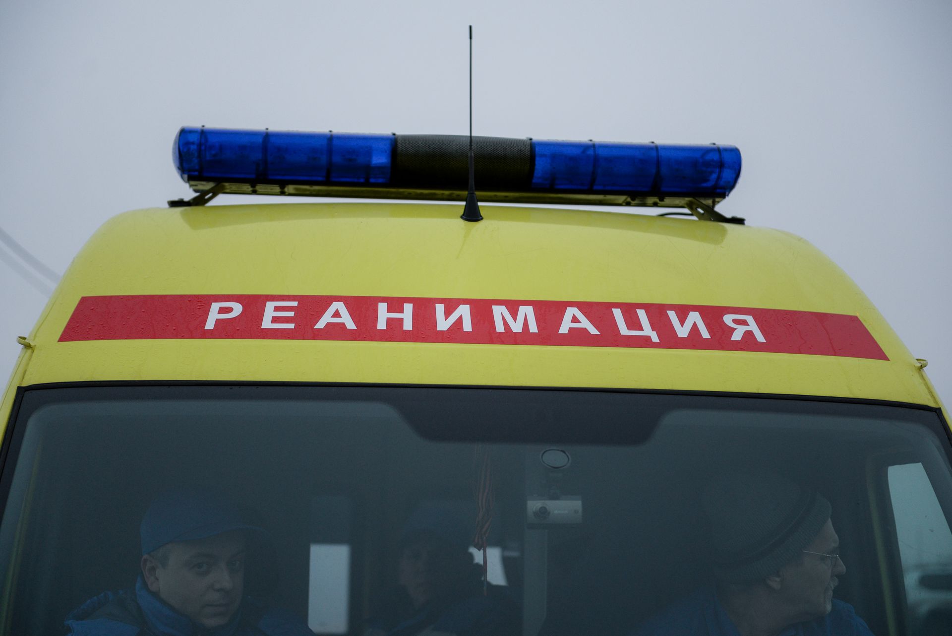 тематическое фото