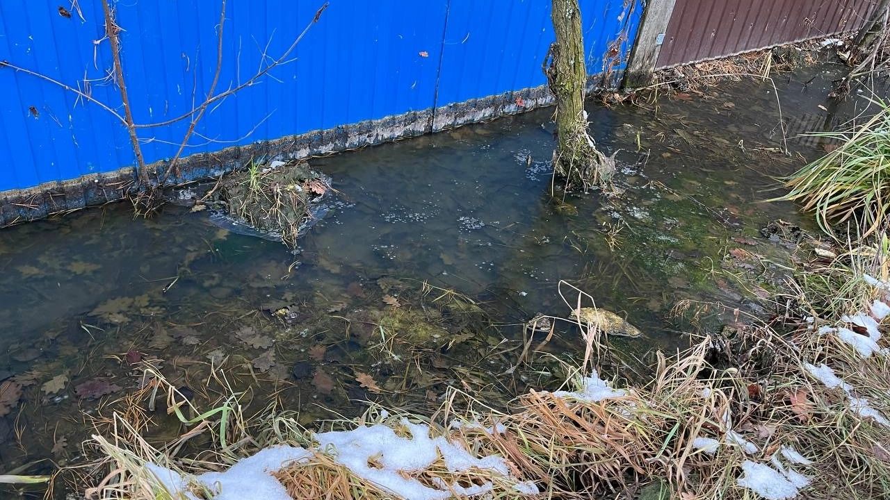 Вода не ушла к зиме