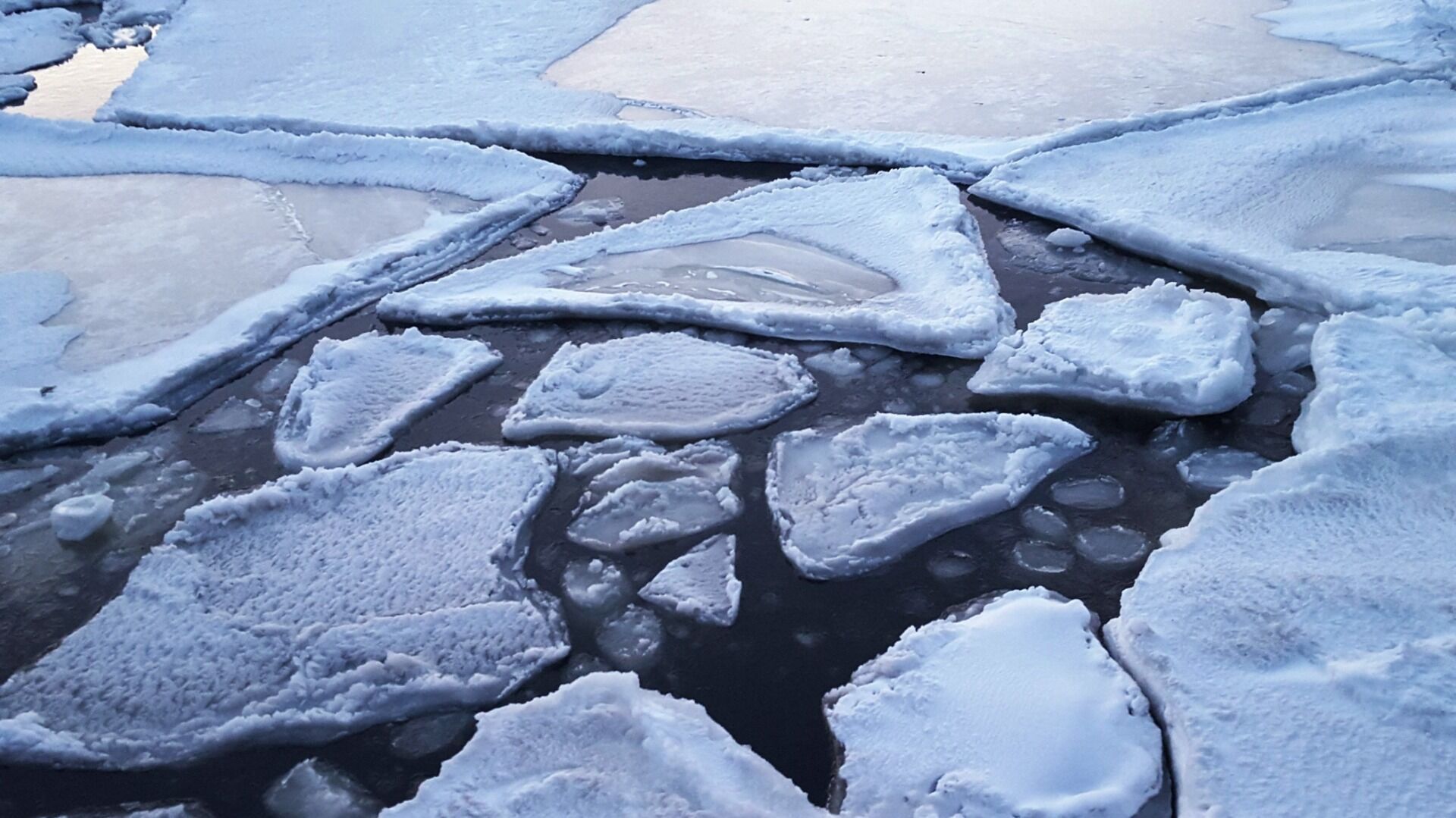 Белгородцам рассказали об опасных местах на водоёмах