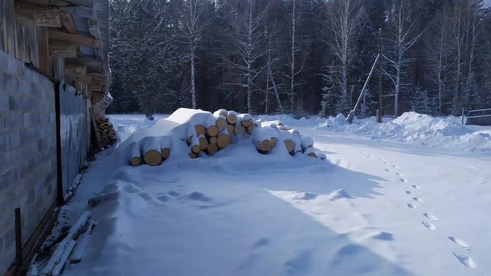 В Удмуртии задержали присвоившего 110 кубометров древесины лесничего