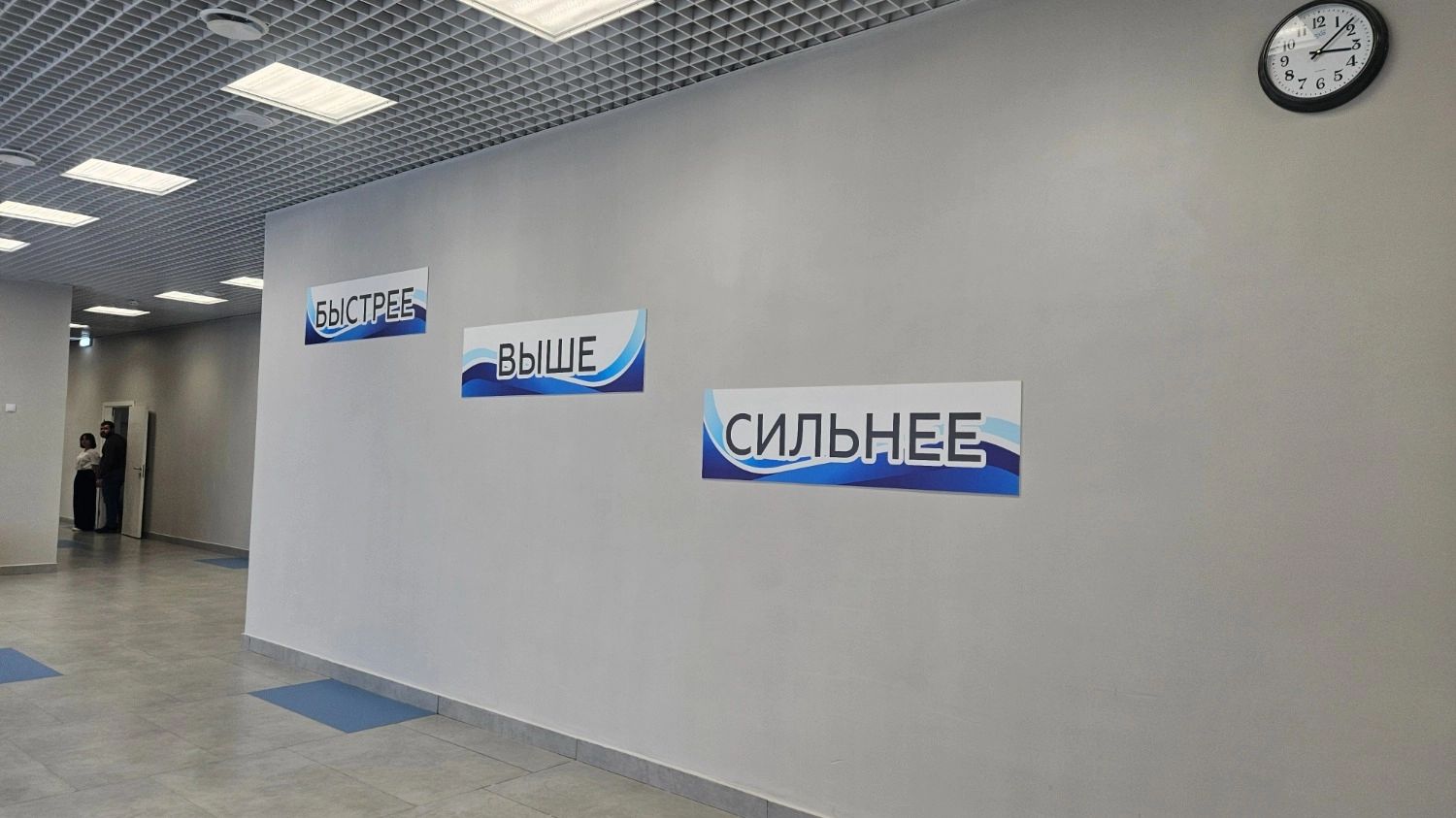 Кабинеты в здание ФОКа