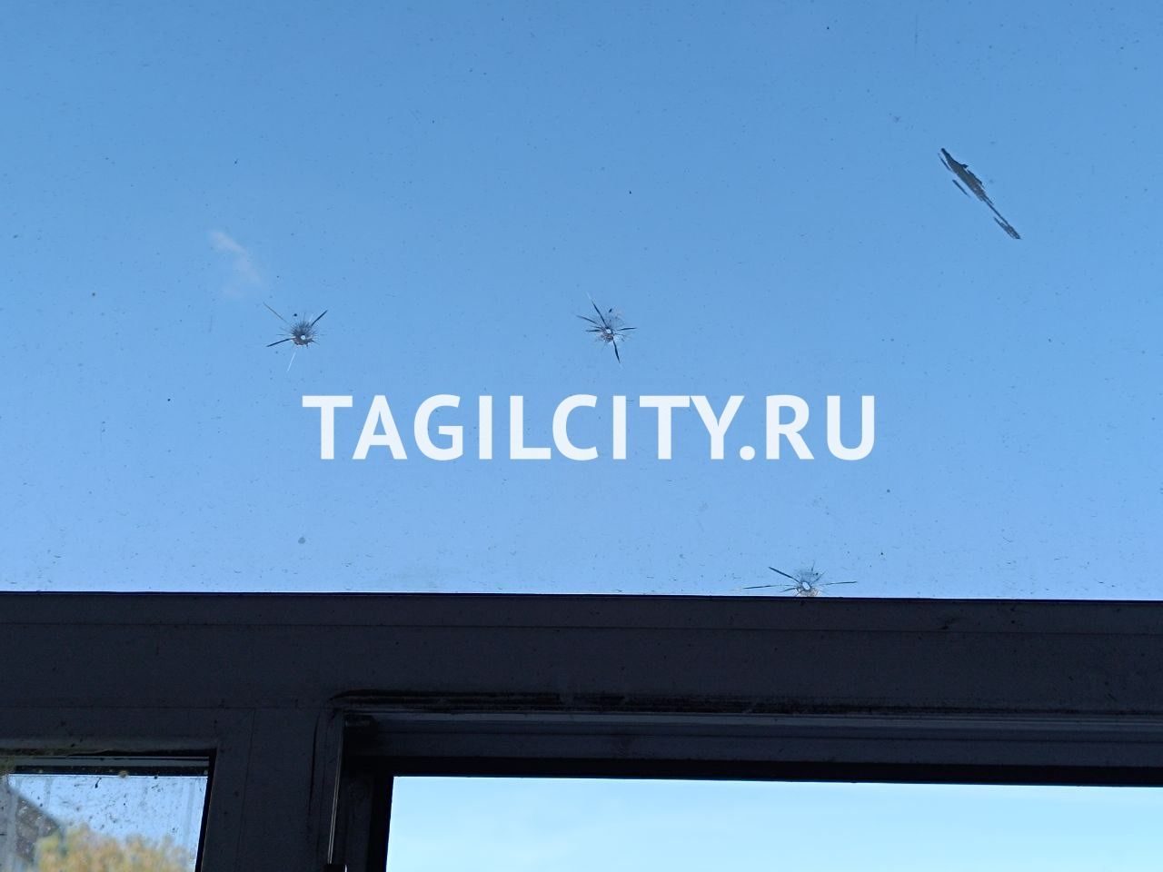 Неизвестный стрелял по окнам и голубям в Нижнем Тагиле