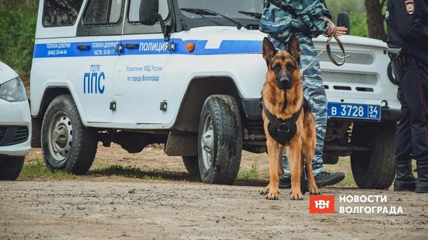 За что избили участника СВО в Волжском