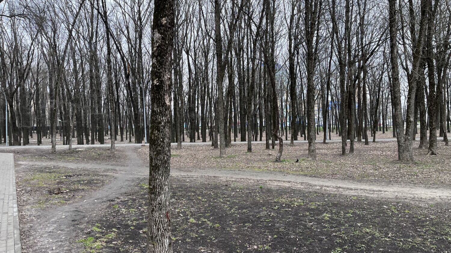 Центральный парк Белгорода