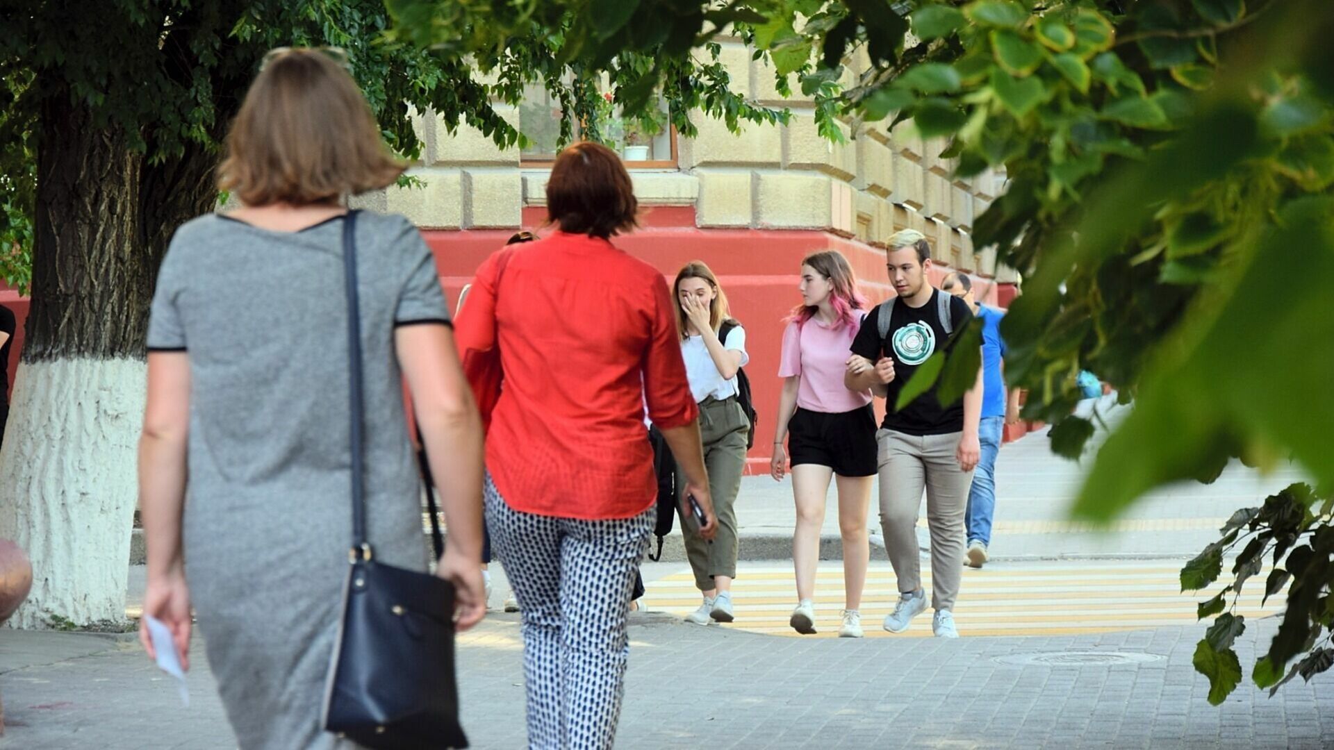 Вши атаковали волгоградцев