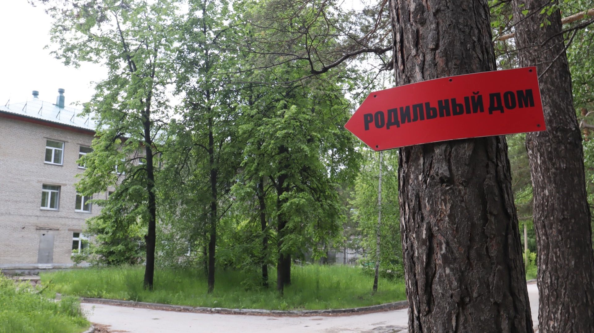 В ходе диспансеризации дадут оценку репродоктивному здоровью