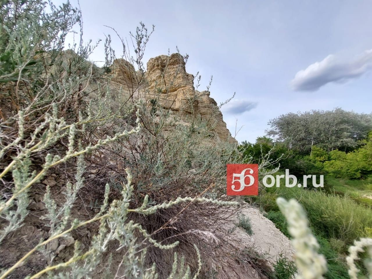 Змеиная гора 