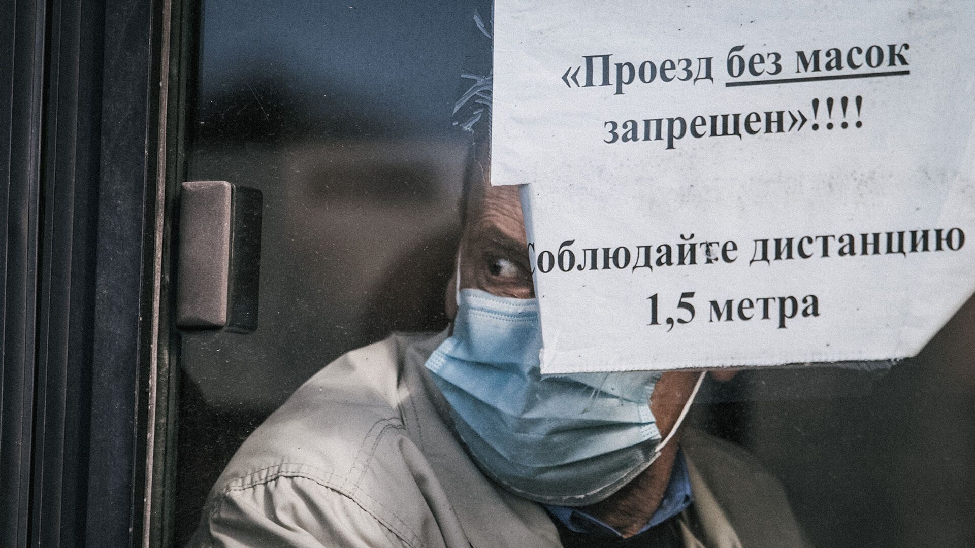 Школы, детские сады, пекарня и автобус №4. Роспотребнадзор назвал 20 нарушителей режима