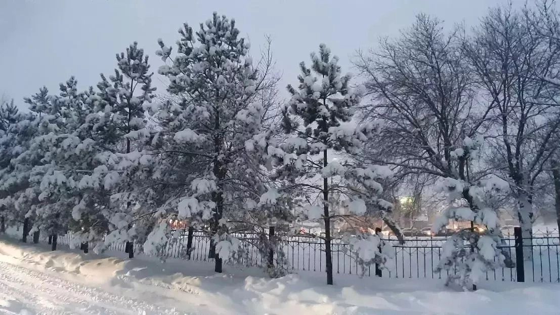 Пойдут ли юные оренбуржцы в школу?