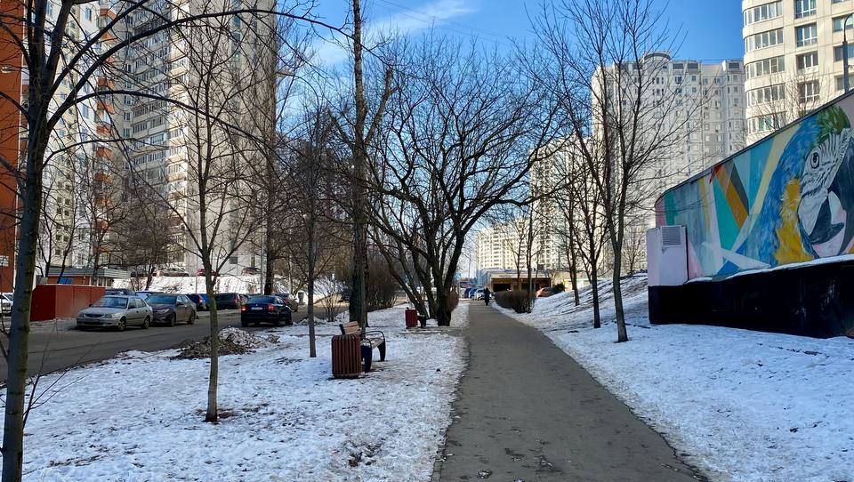Москвичи, возможно, еще увидят снег.