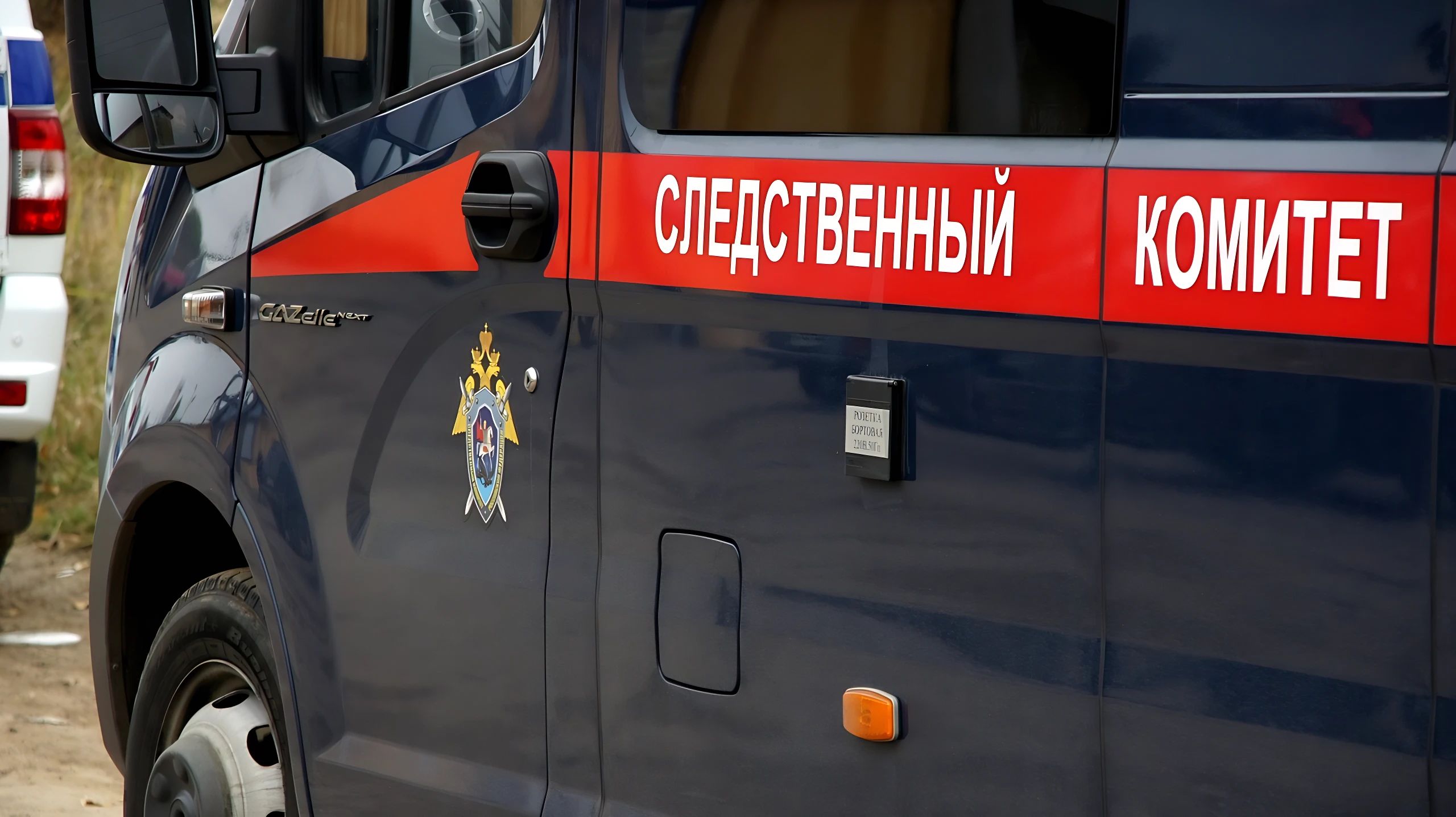 СК проведет проверку после видео с тюменцем, «кормящим грудью» младенца