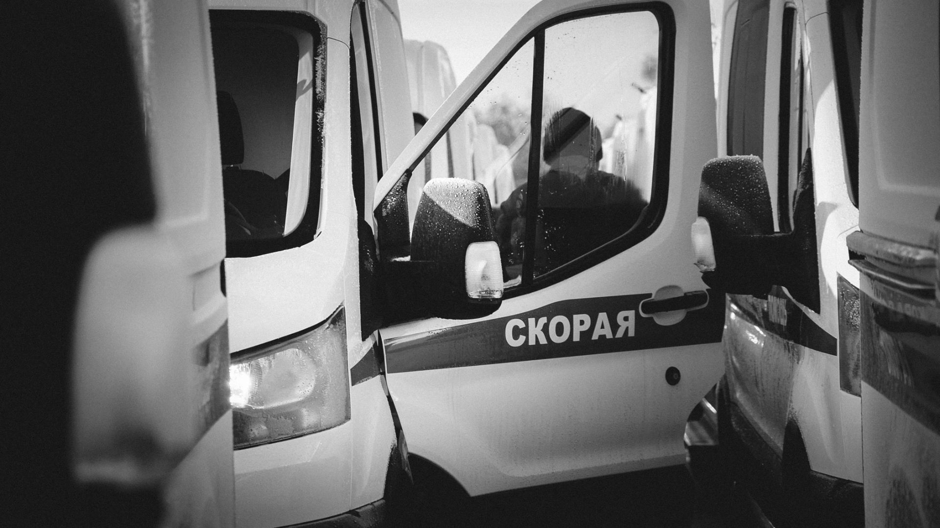 Дерево рухнуло на девочку-подростка в Кабардино-Балкарии