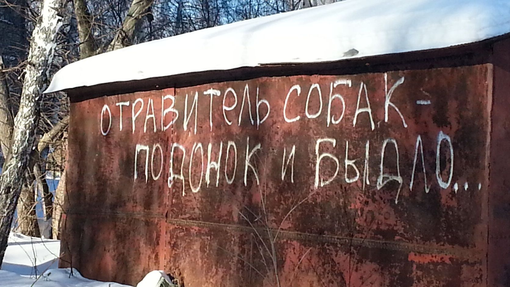 Догхантеры травят домашних собак в лесу за ДКЖ