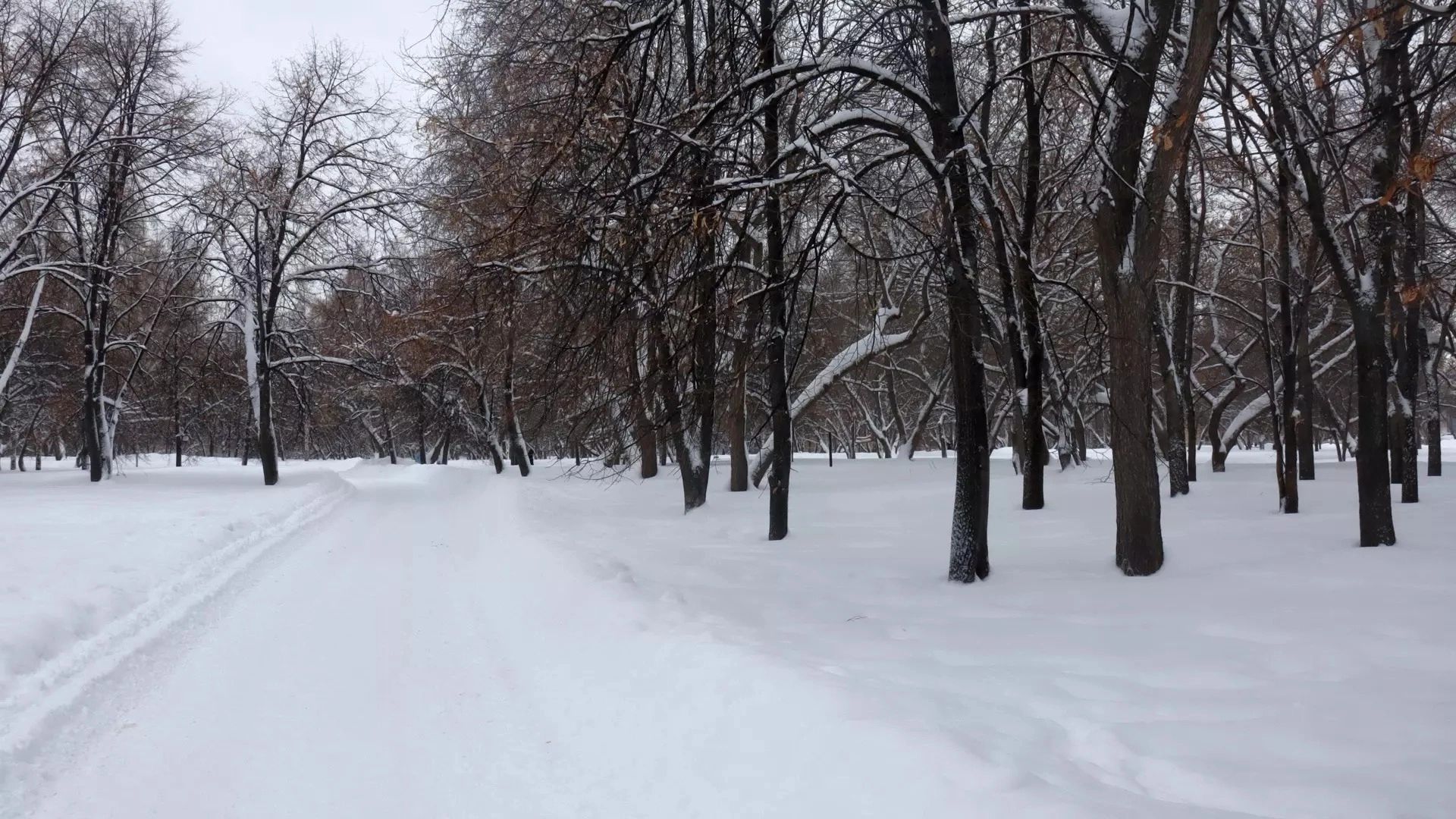 Погода на ближайшие выходные