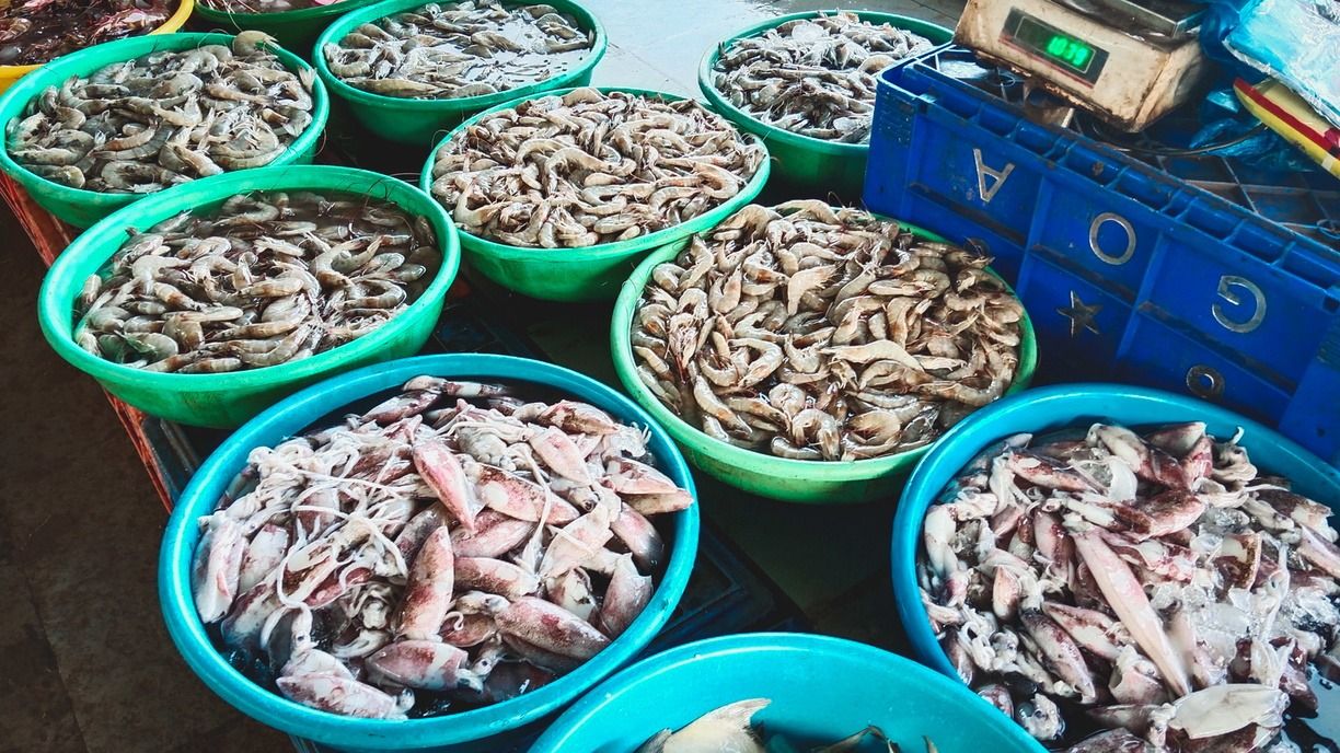 Genotek помог ученикам центра «Сириус» обнаружить фальсификат в морепродуктах