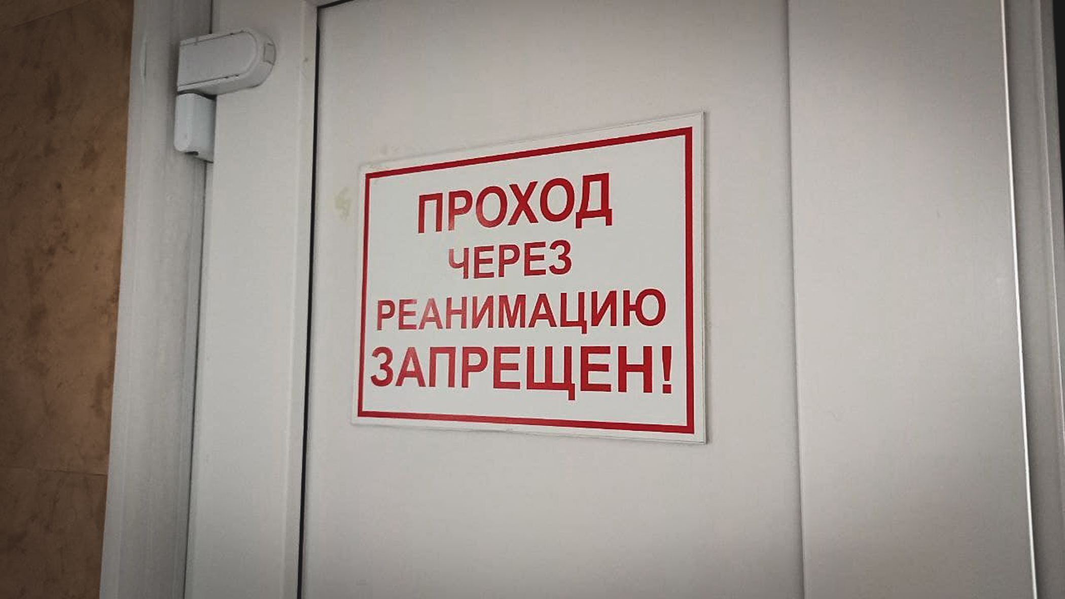 В Петербурге мотоциклиста разорвало на части в ДТП, но он остался жив
