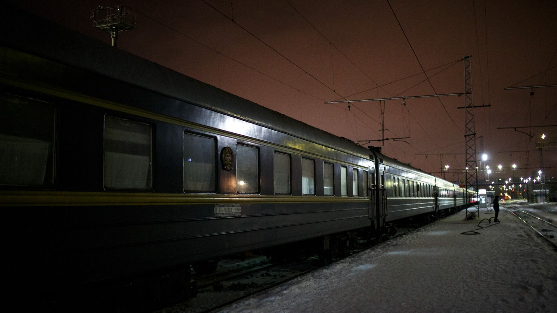 Поезд Екатеринбург — Омск сбил женщину с собакой