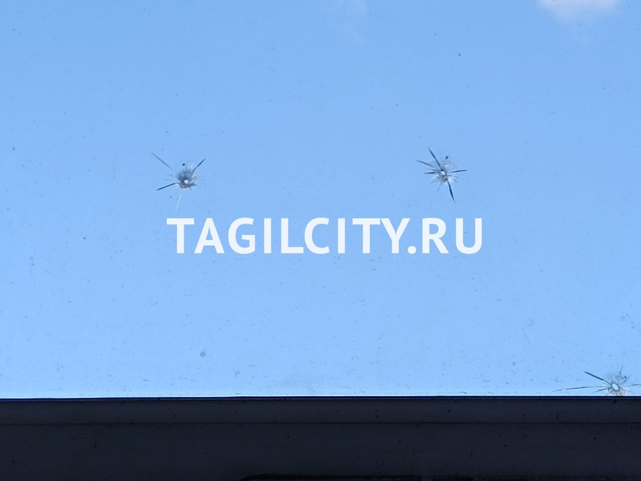 Неизвестный стрелял по окнам и голубям в Нижнем Тагиле
