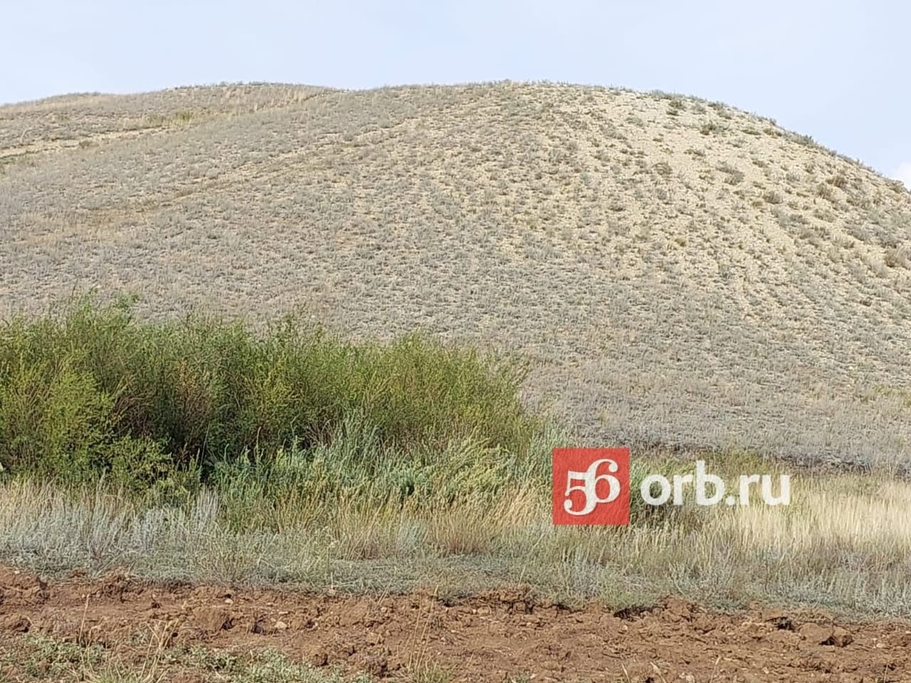 Змеиная гора 