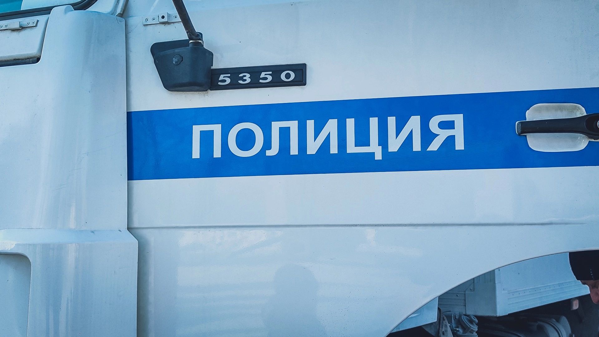 В УМВД прокомментировали драку между многодетной белгородкой и экс-полицейским