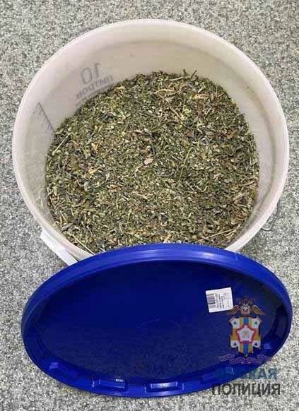 изъятые наркотики