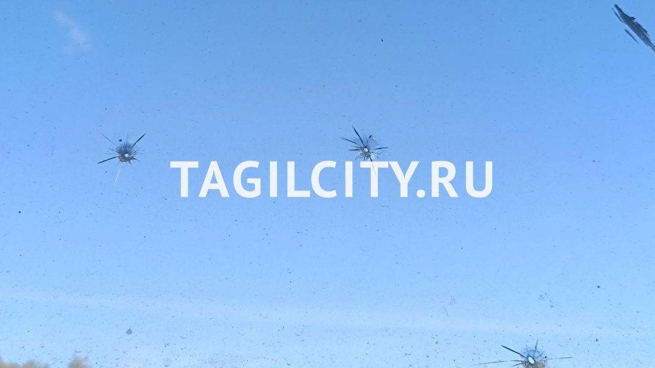 Неизвестный стрелял по домам и голубям из пневматики на Мира в Нижнем Тагиле