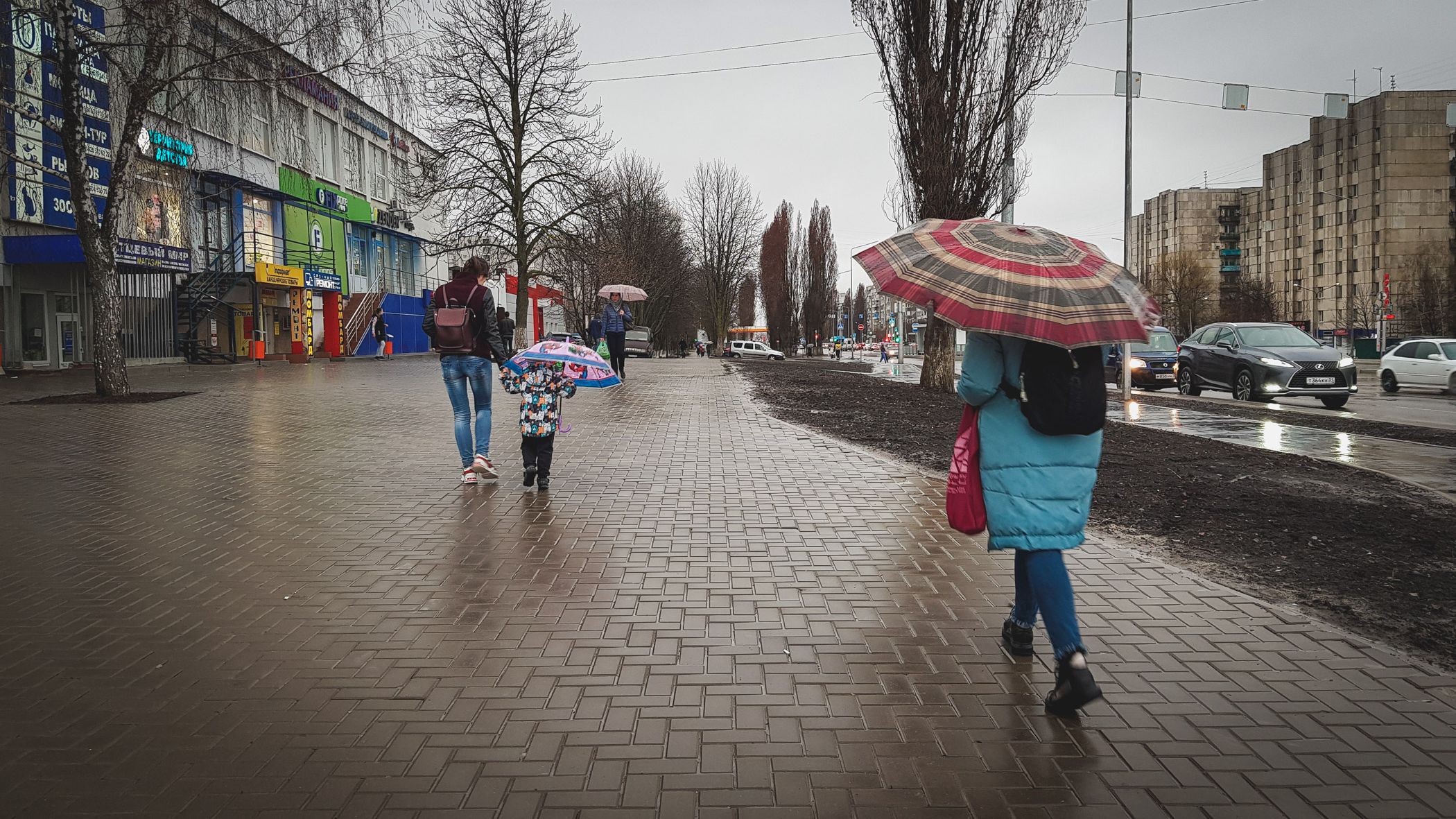 Заморозки пришли в регион 