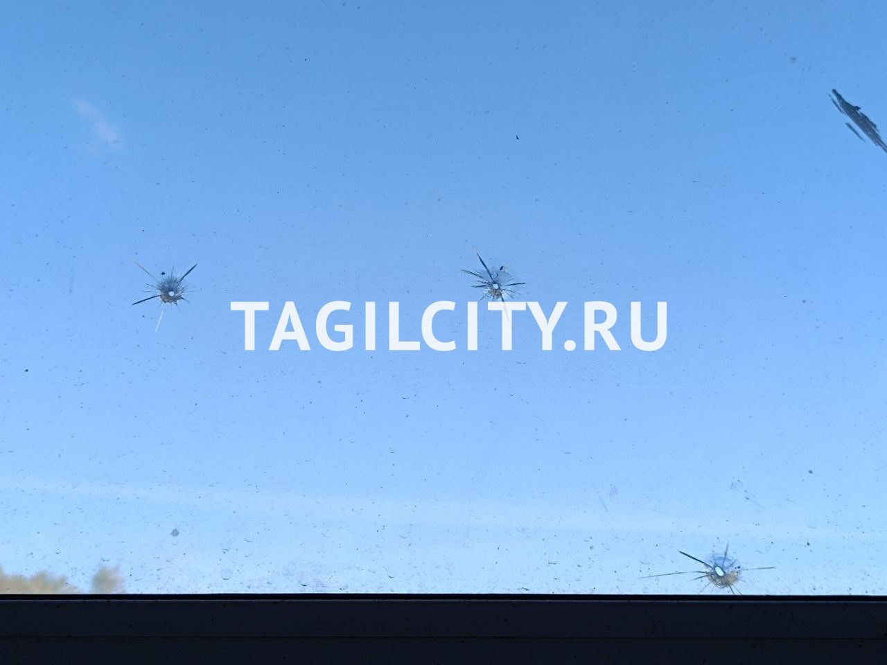 Неизвестный стрелял по окнам и голубям в Нижнем Тагиле