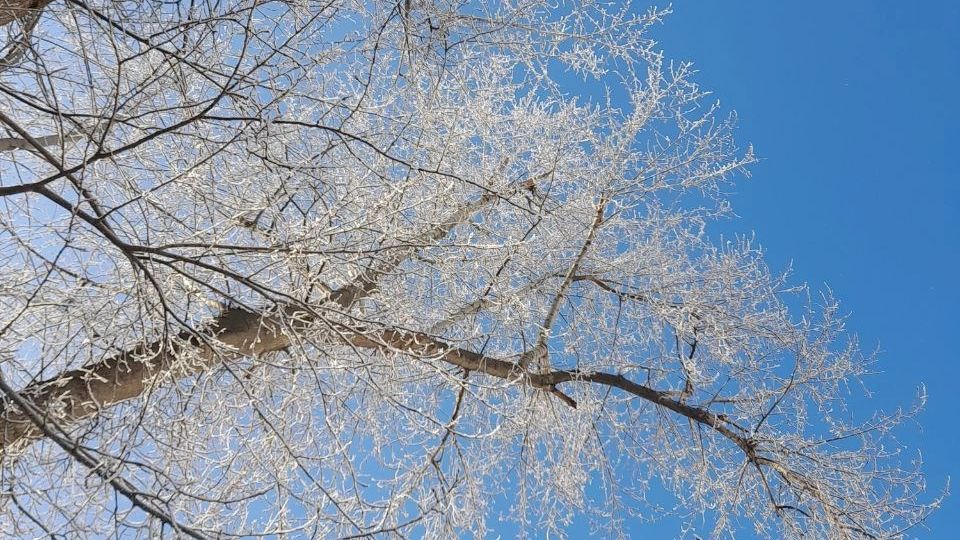Куда пойти в Перми 23 февраля? Где пройдут праздничные мероприятия?