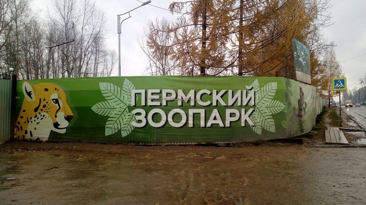 Субподрядчика по строительству нового пермского зоопарка признали банкротом