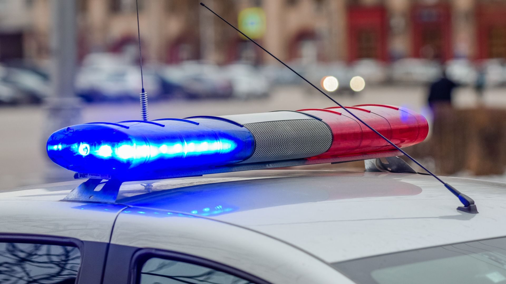 Житель Петербурга искусал полицейского во время задержания