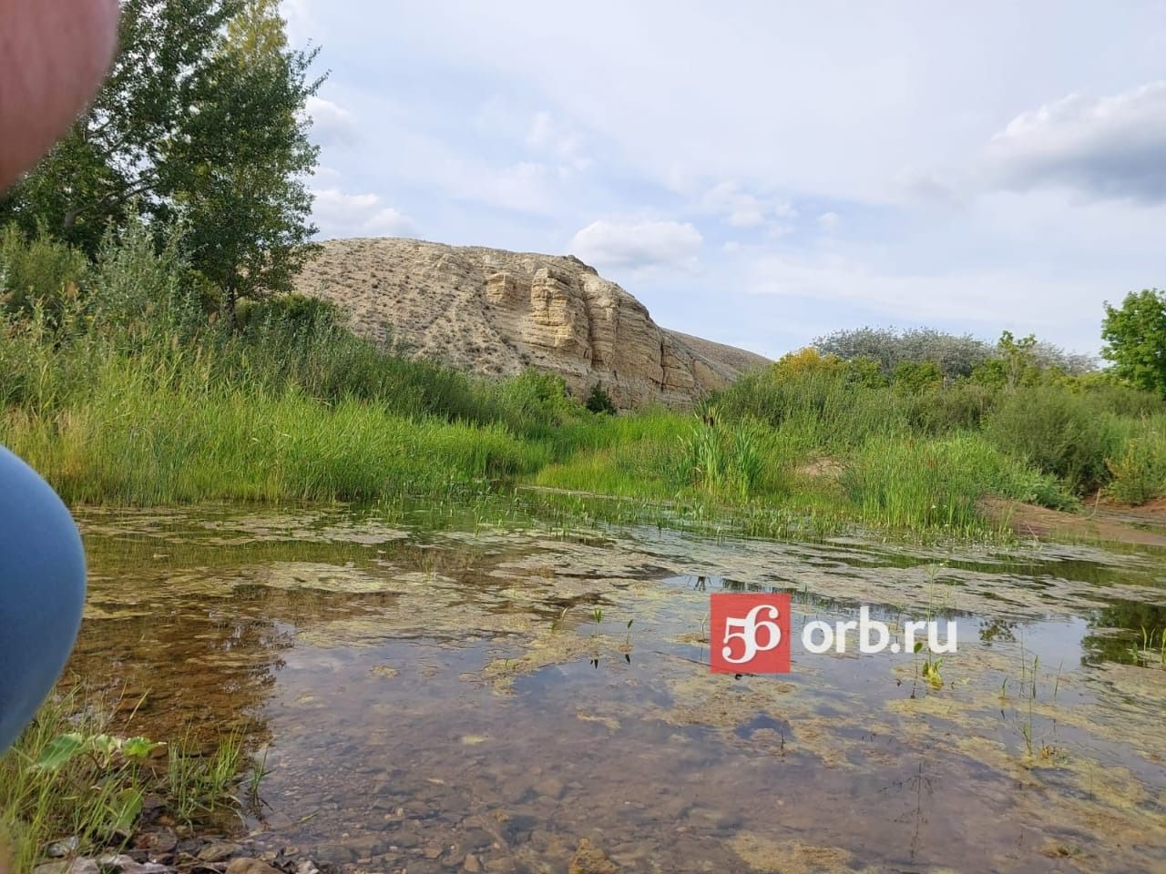 Змеиная гора 