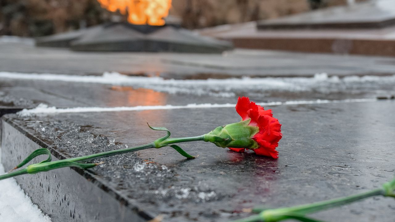 Школьники забросали снегом Вечный огонь в Санкт-Петербурге