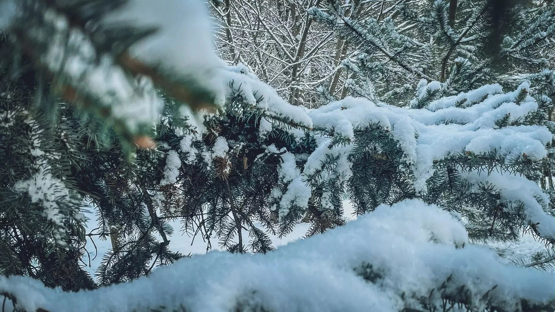 Прогноз погоды на 18 февраля
