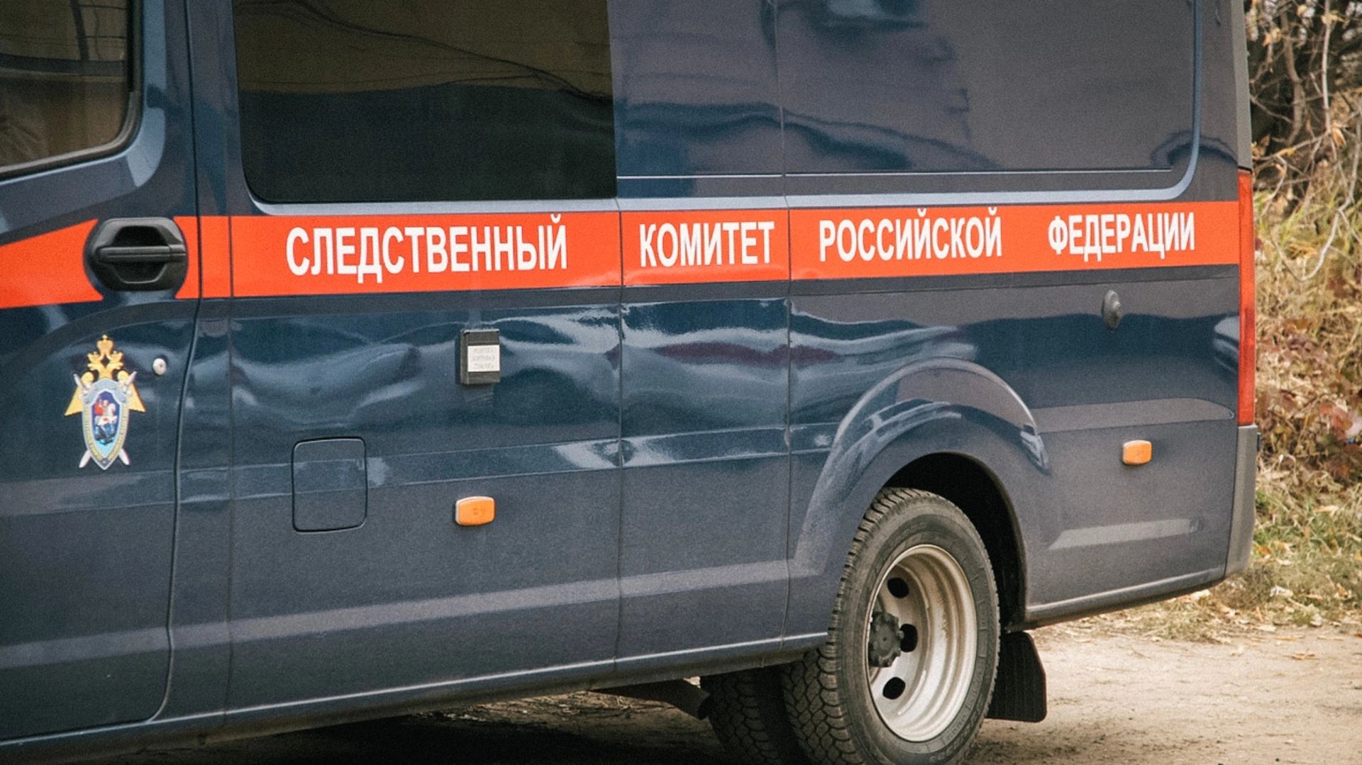 Бастрыкин поручил провести проверку по факту смерти беременной в Нижнем Тагиле