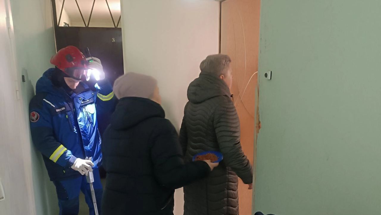 Умершего жителя Глазова обнаружили в квартире благодаря лаю собаки