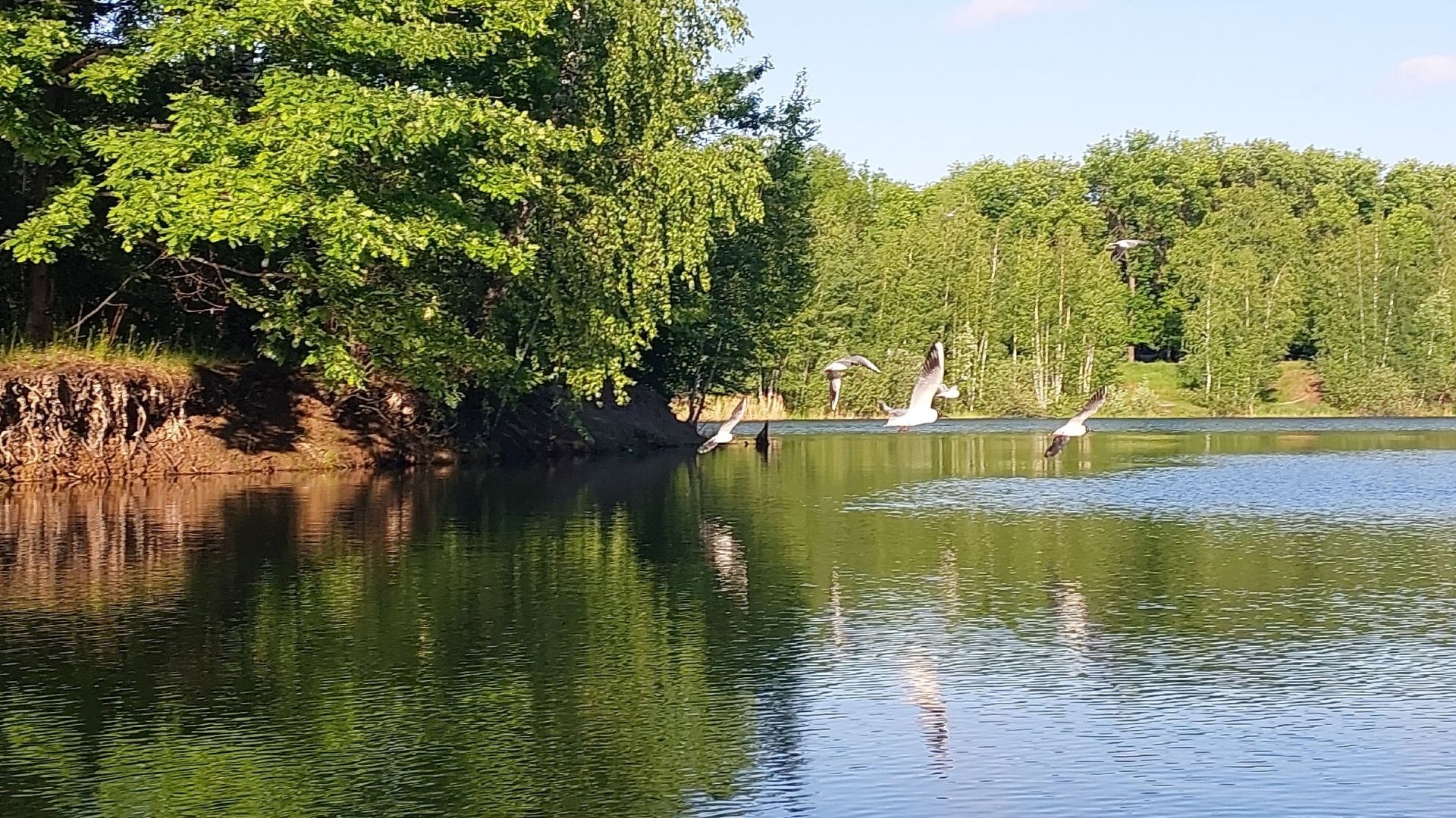 Дети и пьяные мужчины чаще всего тонут в нижегородских водоемах