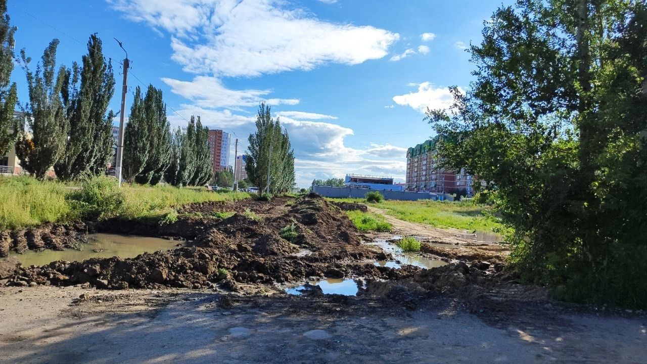 Возле лужи на бульваре Архитекторов стоит ужасная вонь