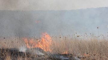 Продлится все выходные: штормовое предупреждение объявили в Приморье