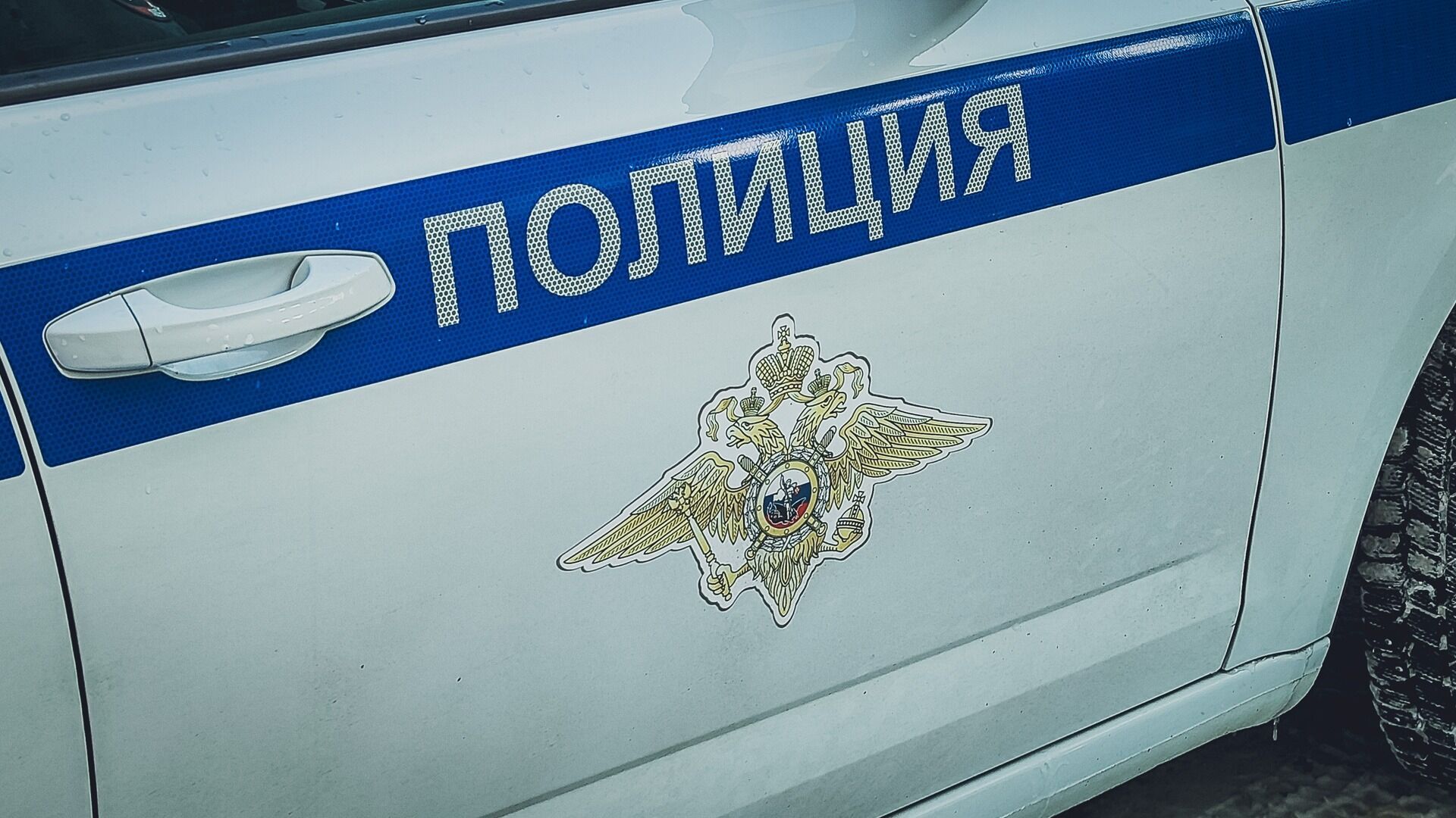 Напавших на баскетболиста Алексея Шведа задержали