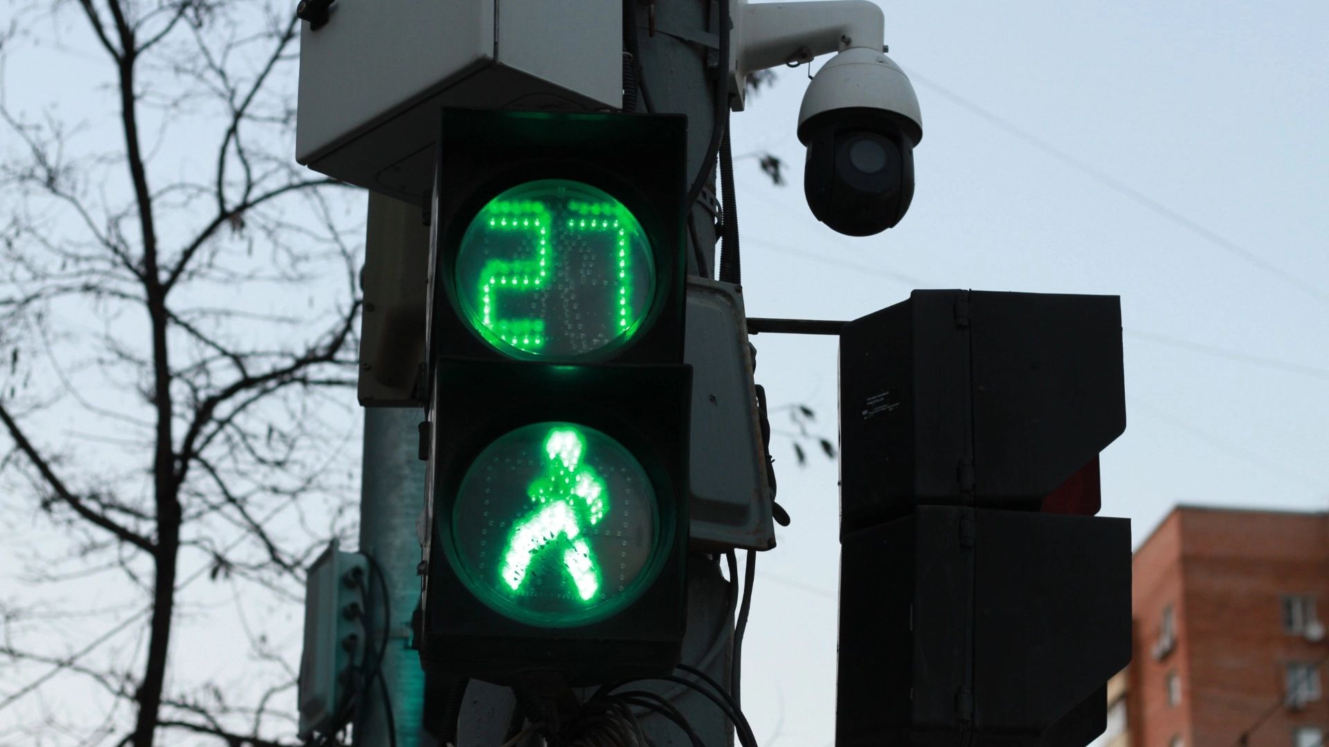 В Нижнем Тагиле стали работать три новых светофора на пешеходных переходах