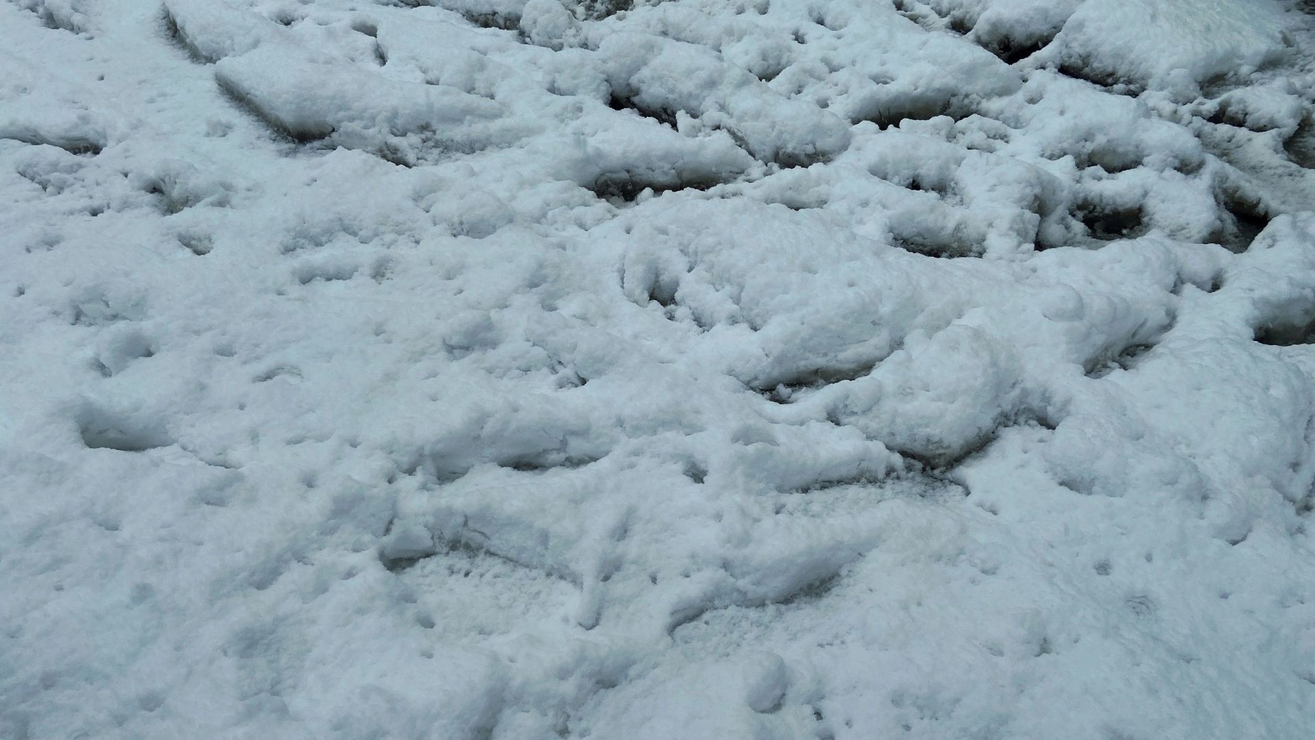 В «Ергаках» насмерть разбилась школьница на лыжах
