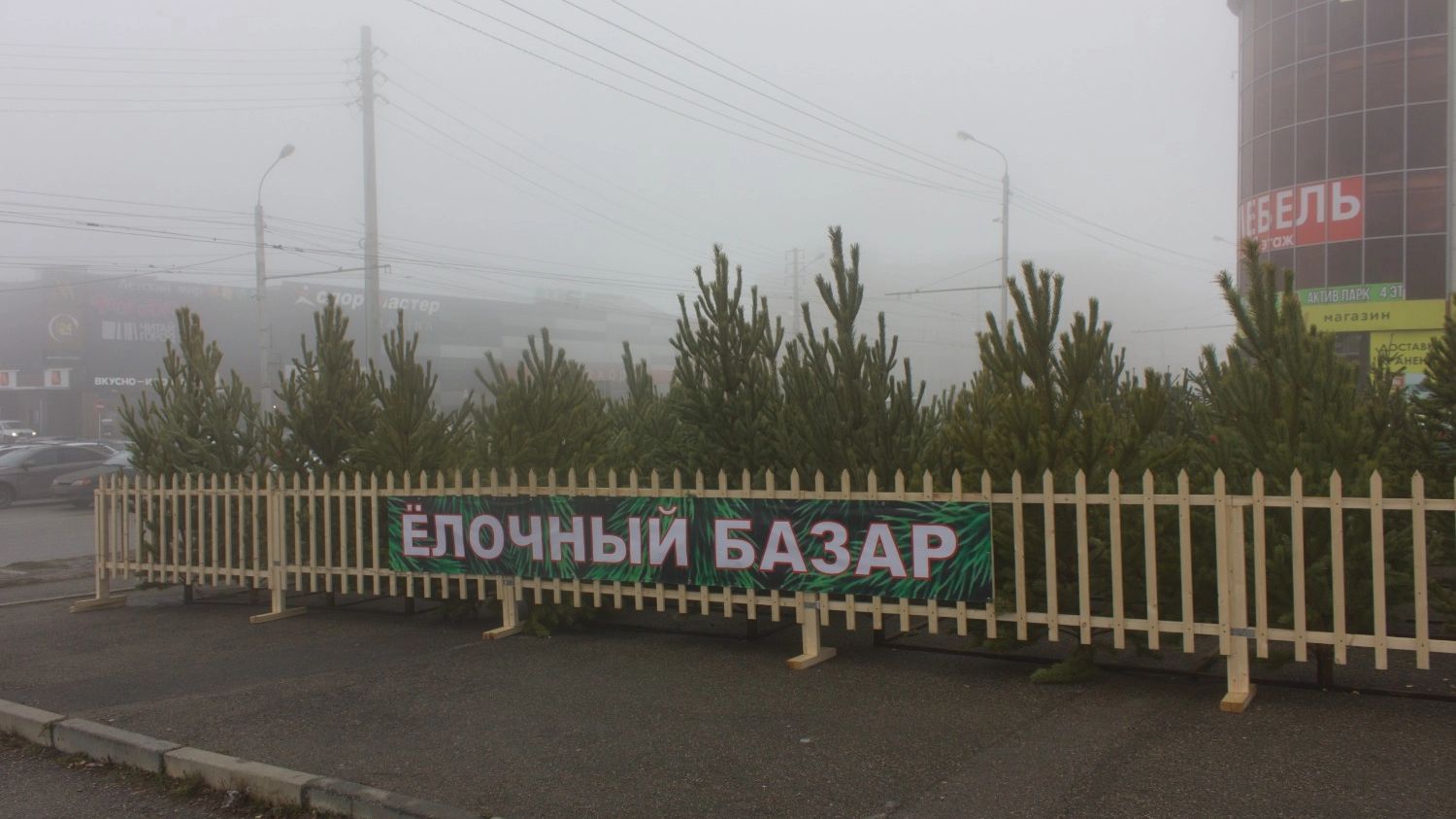 Точка возле ТЦ «Космос»