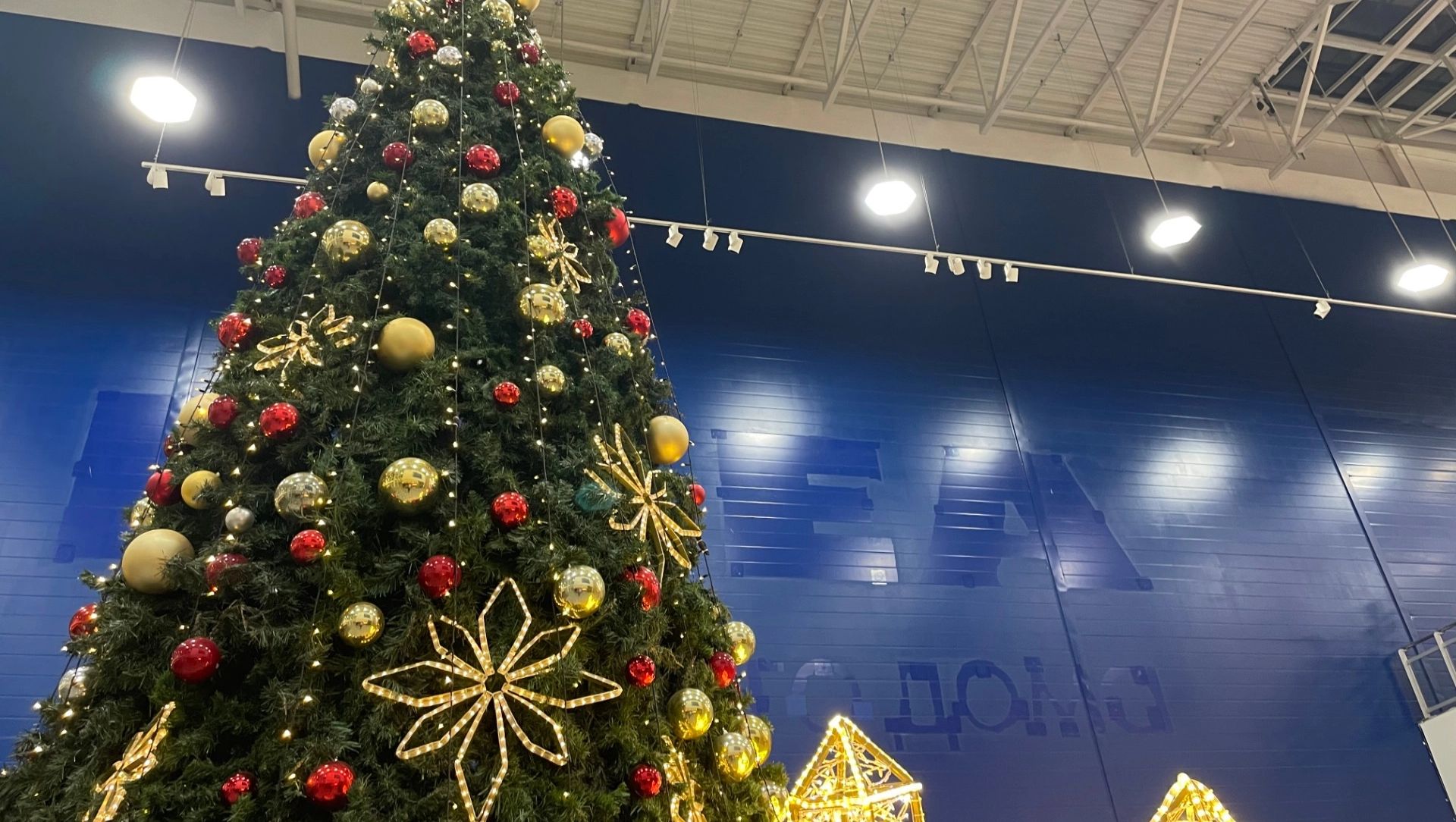 В Ростове площади IKEA в ТЦ «Мега» могут перейти ее бывшим поставщикам