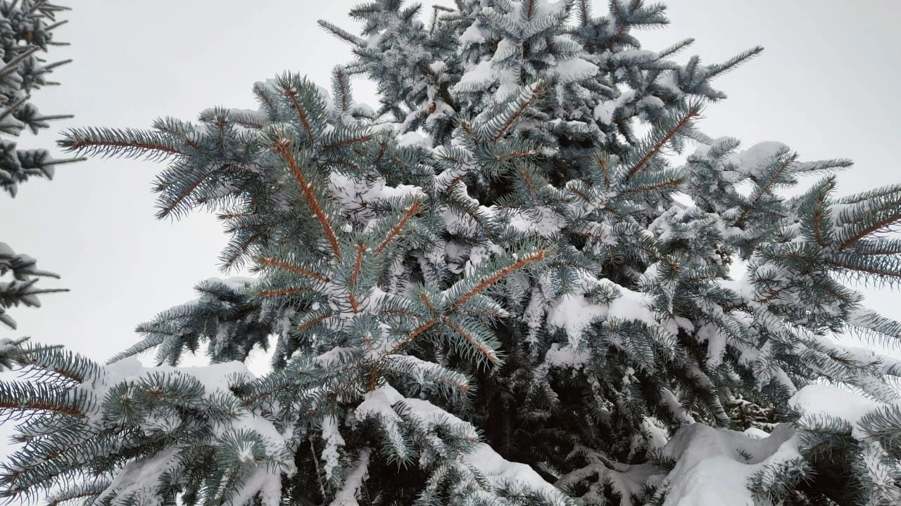 Приметы, которые связаны с 24 января