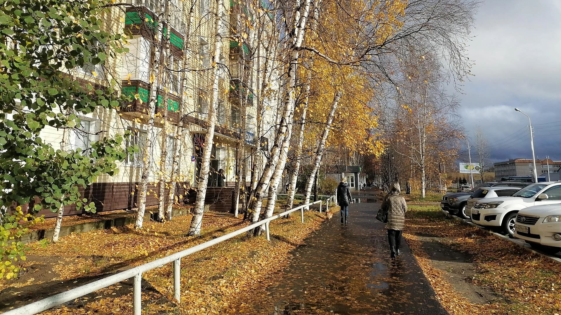 Антициклон с Урала принесет в Омскую область бабье лето: дата